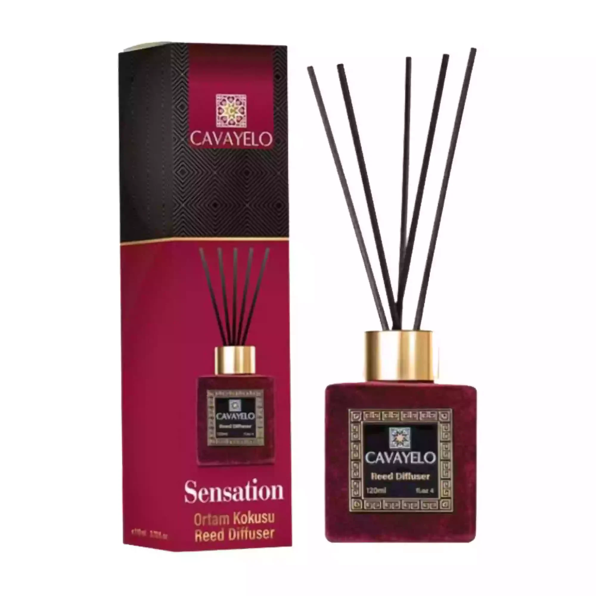 Zoaplus-cavayelo-reed-diffuser-120ml-abidjan-4